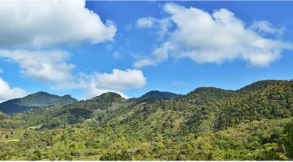 Reserva Natural Tepesomoto